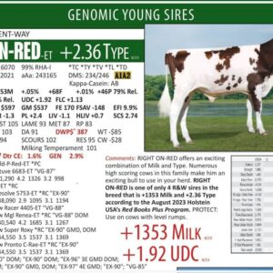US Holstein